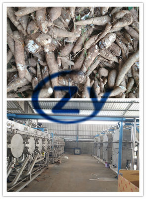 Chaîne de production d'amidon d'igname d'ensemble complet/amidon de manioc faisant la machine