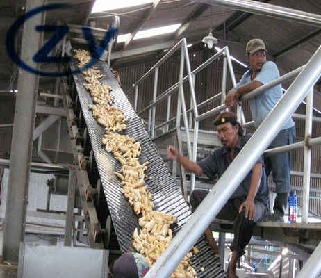 Installation de fabrication d'amidon de manioc de l'acier au carbone 15t/H épluchant le lavage